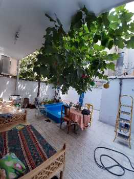 خرید کلنگی