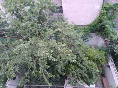 خرید آپارتمان خواجه نصیر ۱۵۰ متری ۱ خوابه  [قدیمی] - 7842210