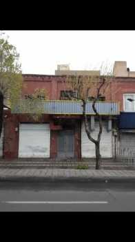 خرید کلنگی کارگر جنوبی باجواز