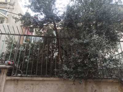 خرید کلنگی استاد معین زمین: ۹۶م  قیمت کل: ۱۰,۵۰۰,۰۰۰,۰۰۰ - 8017086